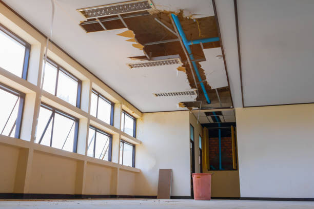 Best Ceiling water damage repair  in Rose Hill, NC