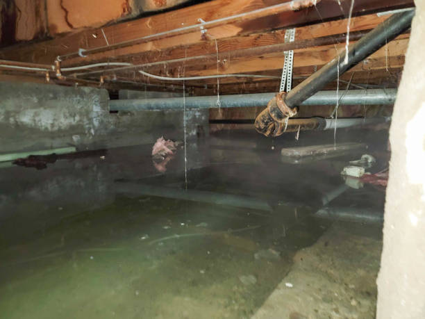 Best 24-hour water damage restoration  in Rose Hill, NC