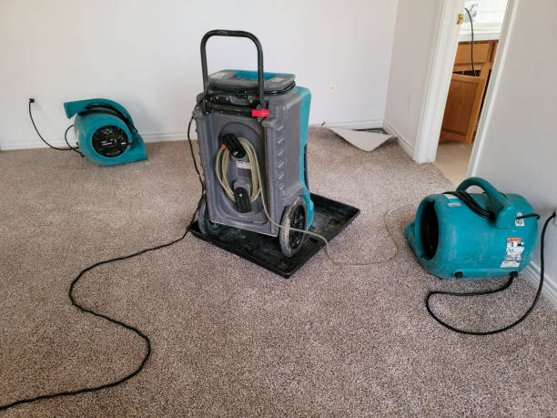 Best Water damage restoration near me  in Rose Hill, NC