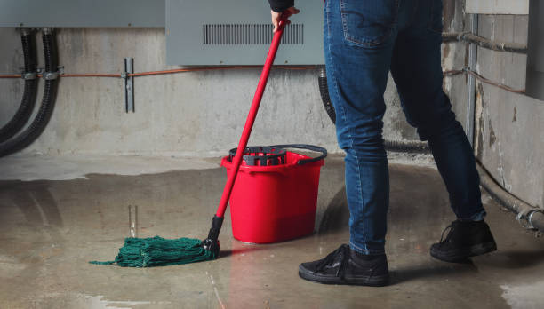 Best Carpet water damage restoration  in Rose Hill, NC