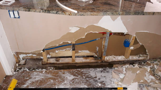Best Local water damage restoration  in Rose Hill, NC