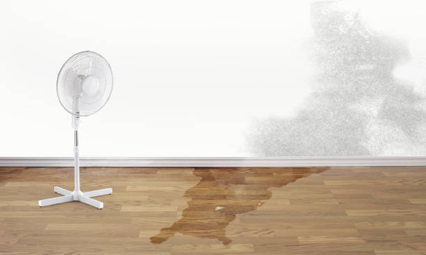 Water damage restoration mold remediation in Rose Hill, NC