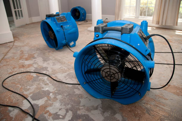Best Basement water damage restoration  in Rose Hill, NC