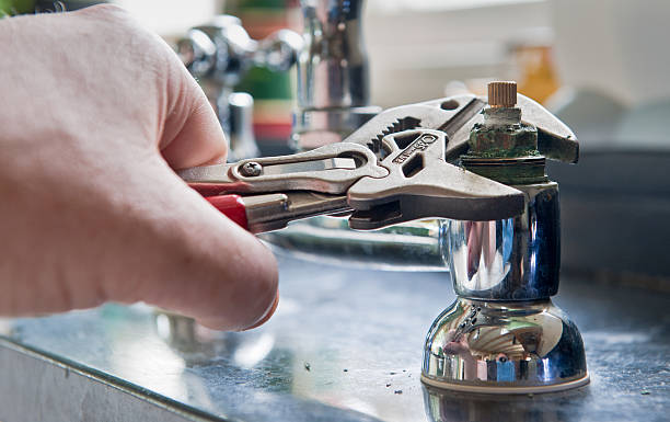 Best Mold removal after water damage  in Rose Hill, NC