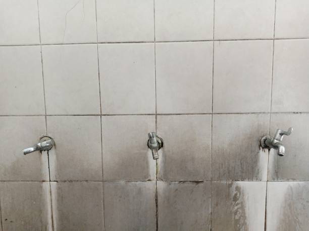 Best Fire Damage Restoration  in Rose Hill, NC