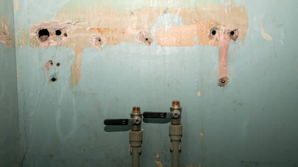 Best Flooded house restoration  in Rose Hill, NC