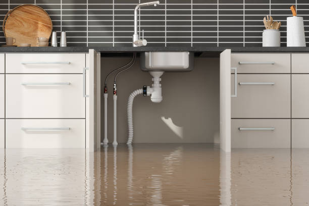 Best Residential water damage restoration  in Rose Hill, NC