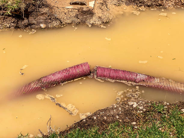Best Emergency water damage restoration  in Rose Hill, NC