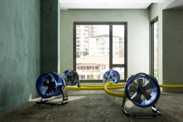 Best Water damage restoration near me  in Rose Hill, NC