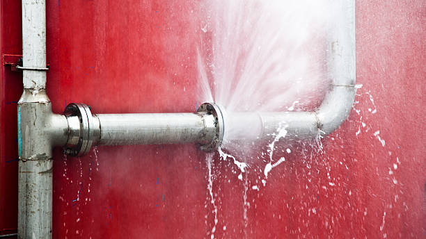 Best Water damage restoration mold remediation  in Rose Hill, NC