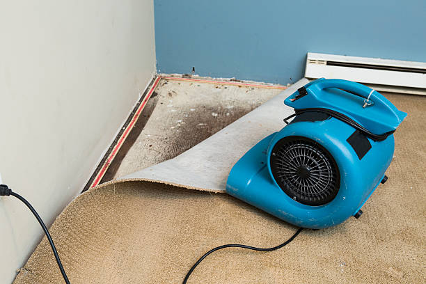 Best Water damage restoration experts  in Rose Hill, NC